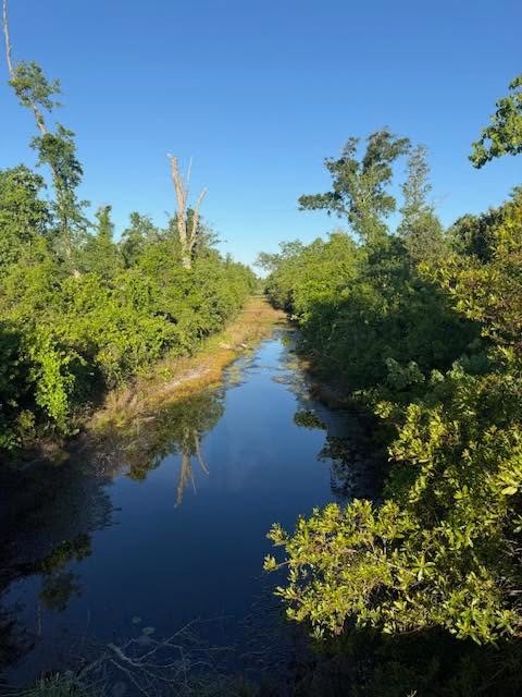 Quiet canal lined with trees near the resort